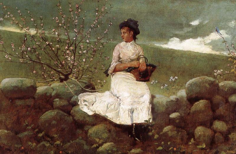 Winslow Homer Peach bloom china oil painting image